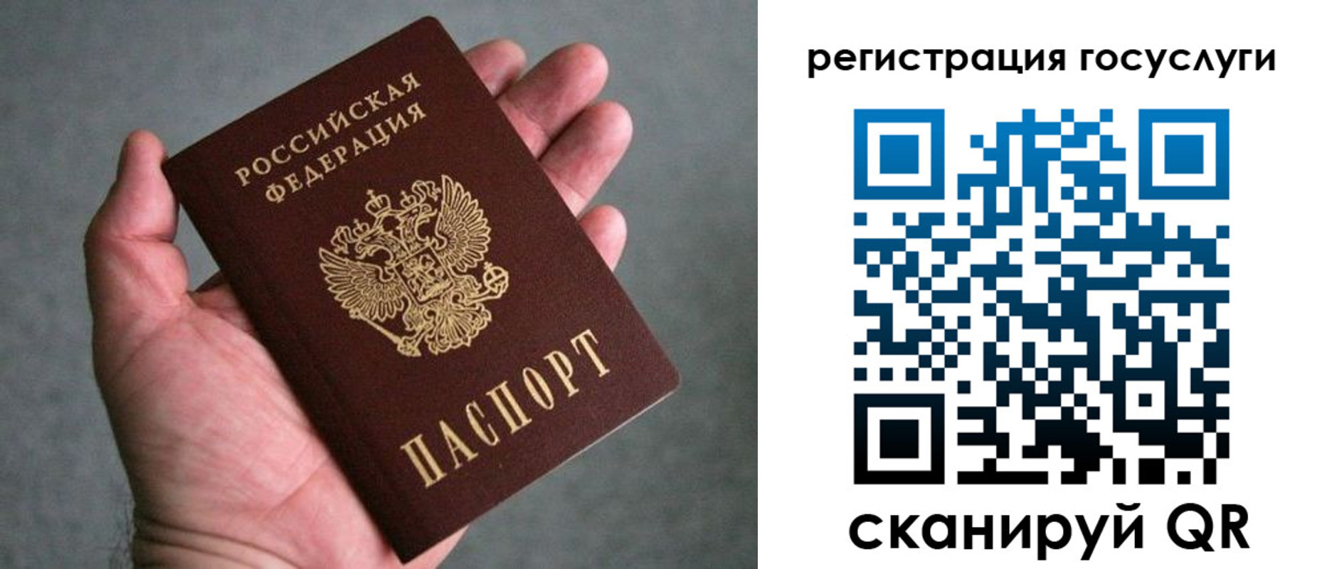 прописка поиск в Шарье